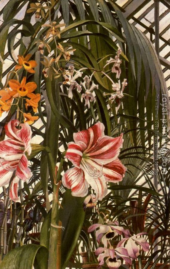 Stanley Spencer : Orchids
